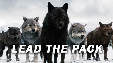 You Are Not Alone Lead The Pack Lone Wolf Speech Motivational