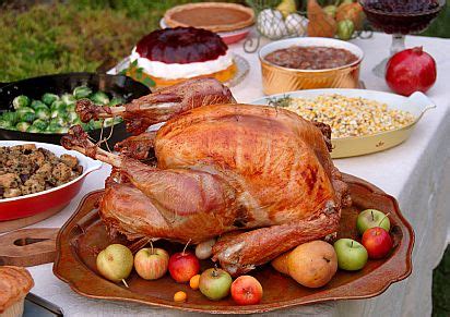 Every christmas celebration features a few standards: Top Turkey Deals: Publix, Winn-Dixie, Butterball & More ...