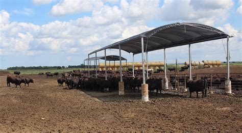 So they're certified and confirmed to be of. Rush-Co Tailored Covers | Livestock Shade Systems