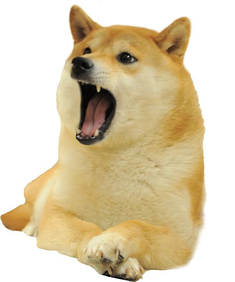 Le Doge That Is Inexplicably Missing From The Templates Folder Has