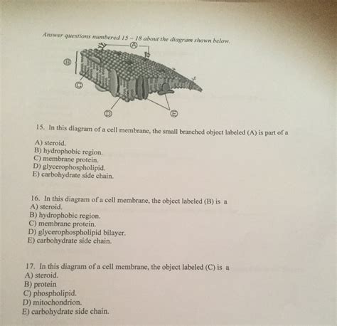 2.4.1 draw and label a diagram to show the structure of membranes. Solved: In This Diagram Of A Cell Membrane, The Small Bran ...