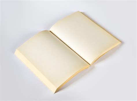 Premium Photo Old Open Blank Book Isolated