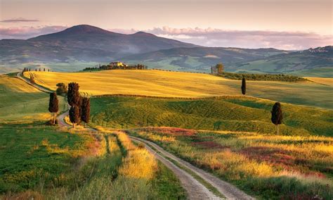Download Field Landscape Hill Italy Nature Photography Tuscany Hd Wallpaper