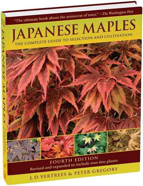 Japanese Maples | Japanese maple, Japanese, Maple