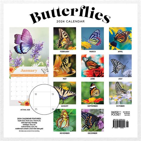 2020 Butterflies Square Wall Calendar By Paper Pocket 81306 Paper