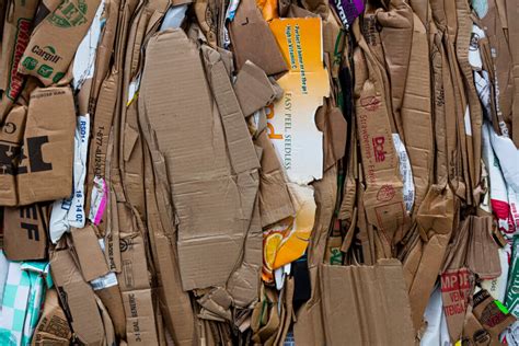 Papercardboard Recycling By Cardella Waste