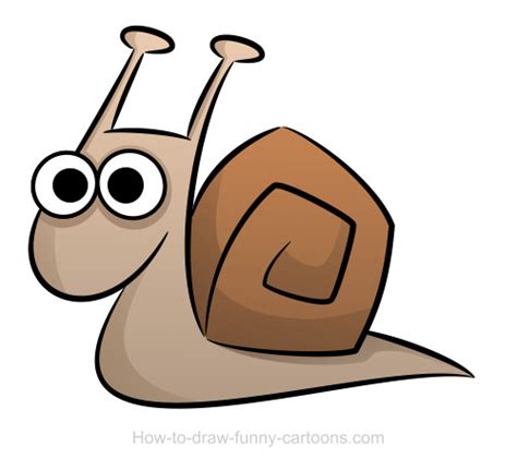 Snail Drawings Sketching Vector