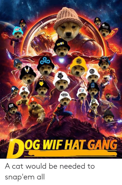 Dog Wif Hat Meme Apsgeyser