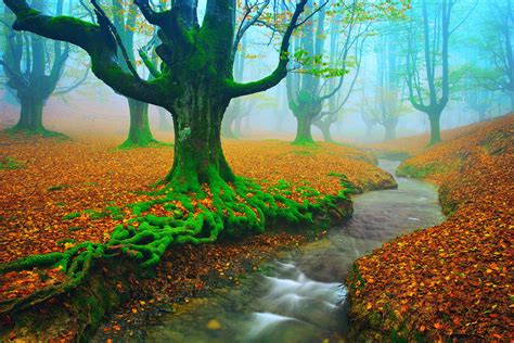 Autumn In Spain Wallpapers Wallpaper Cave