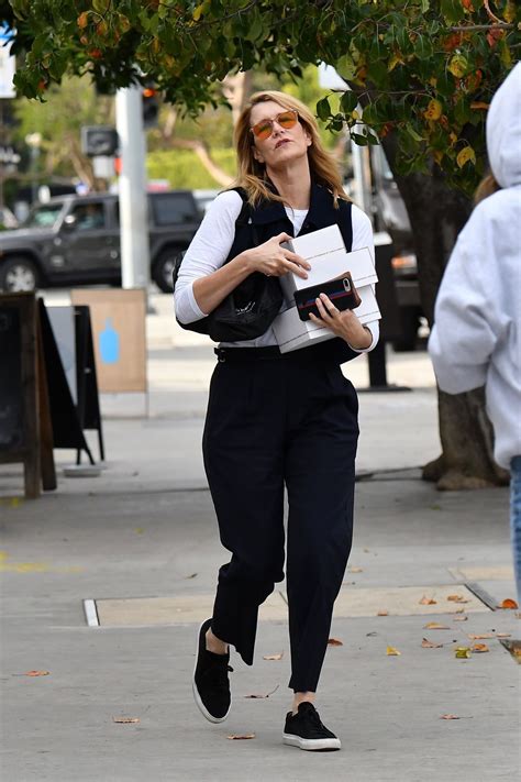 Laura Dern Out Shopping In Brentwood 12 21 2019 Hawtcelebs