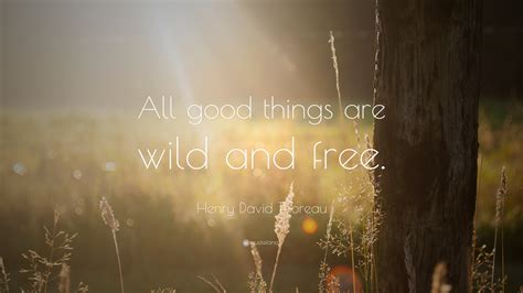 Wild and free cool quote redbubble sticker happy quotes super quotes new quotes. Henry David Thoreau Quote: "All good things are wild and free." (22 wallpapers) - Quotefancy