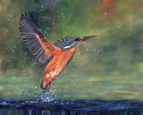 Kingfisher Painting By David Stribbling Fine Art America