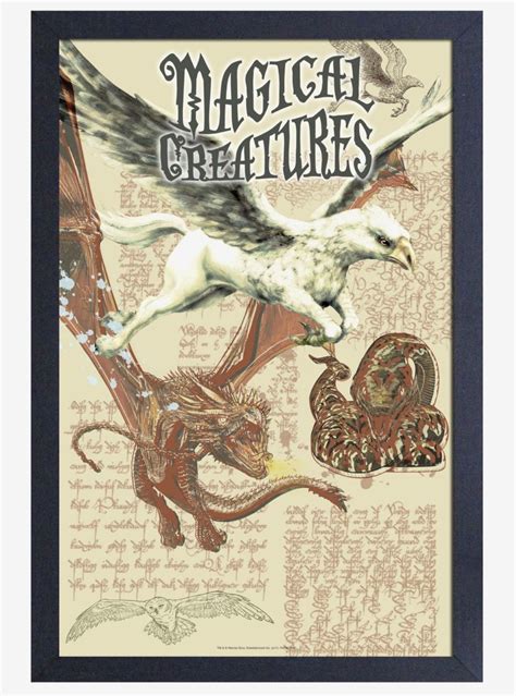 Harry Potter Magical Creatures Poster Harry Potter Creatures Harry