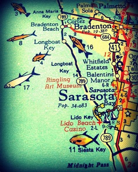 Sarasota Siesta Key Florida 11x14 Vintage Map Photograph Beach Etsy