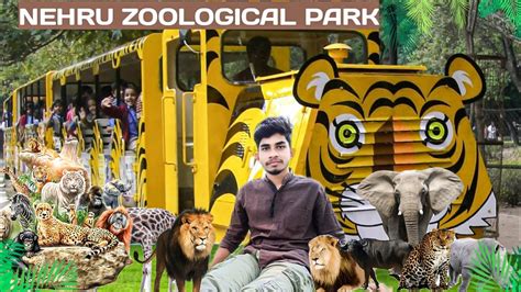 Nehru Zoological Park Hyderabad Complete Tour Youtube