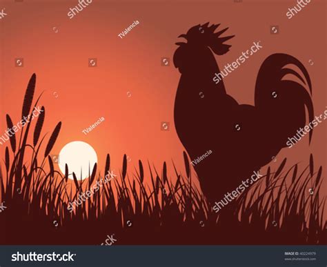 Rooster Greeting Sunrise On A Lawn Stock Vector Illustration 40224979