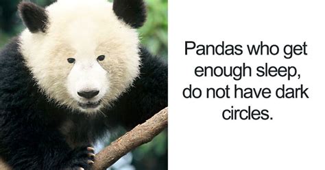 15 Unbelievable Facts That Are Actually 100 True Bored Panda