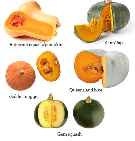 20 Awesome Paleo Pumpkin Recipes