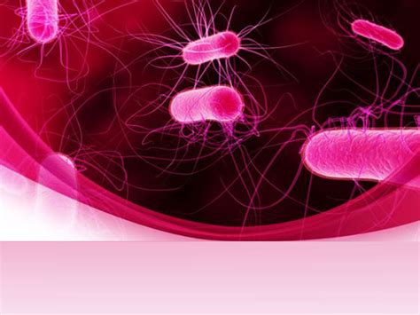Pngtree provide bacteria bacteria in.ai, eps and psd files format. Powerpoint Bacteria Templates for Powerpoint Presentations ...