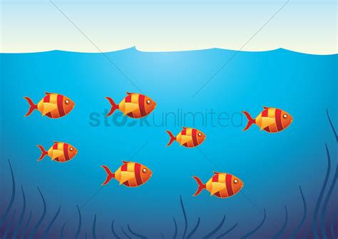 Rainbow Fish Illustrations Royalty Free Vector Graphi