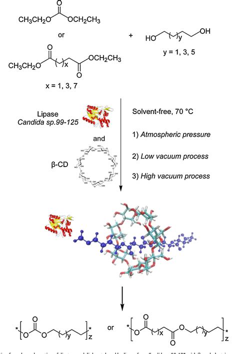 Figure 1 From Lipase Catalyzed Synthesis And Characterization Of