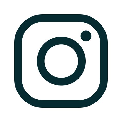 Instagram Photo Share Icon