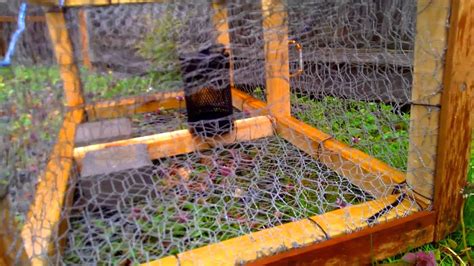 Cut bait holder with monofilament snares around it. Homemade crab trap - YouTube