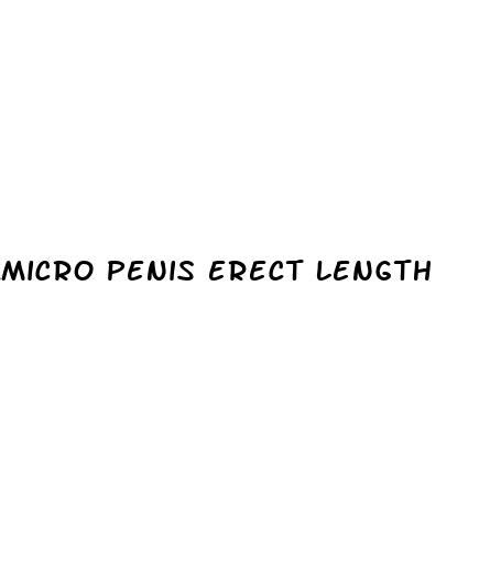 Micro Penis Erect Length