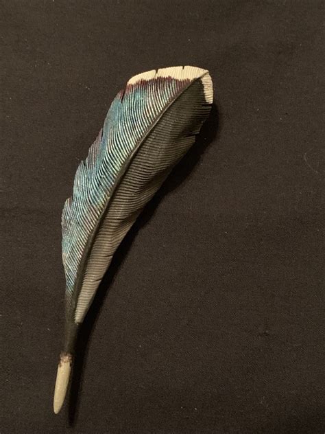 Wood Duck Wooden Feather Pinwing Feather Etsy