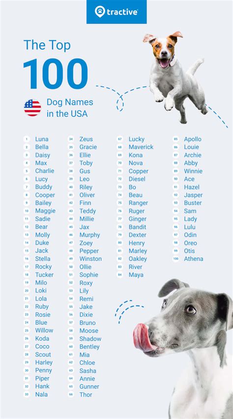 Discover The Most Common Dog Names Worldwide Tractive