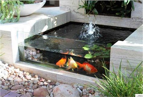 Construcción de estanques pecera para peces y tortugas - Diseño