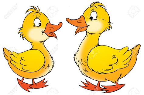 Cartoon Ducks Images Free Download On Clipartmag