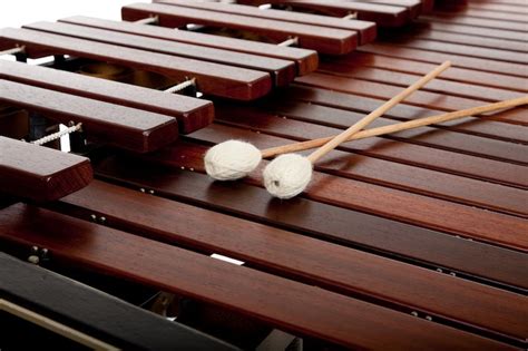 15 fun and interesting facts about the xylophone