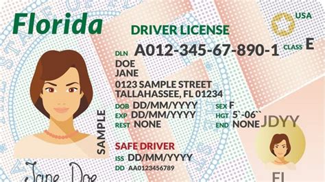 C Mo Renovar Licencia De Conducir En Florida Gossip Vehiculos