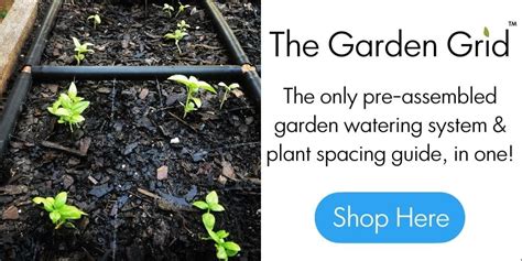 Square Foot Gardening Plant Spacing Guide W Printable Chart