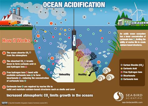 Pin By Sea Bird Scientific On Ocean Acidification
