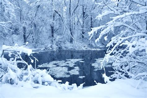 Winter River After Snowfall Stock Image Image Of Stream Beautiful