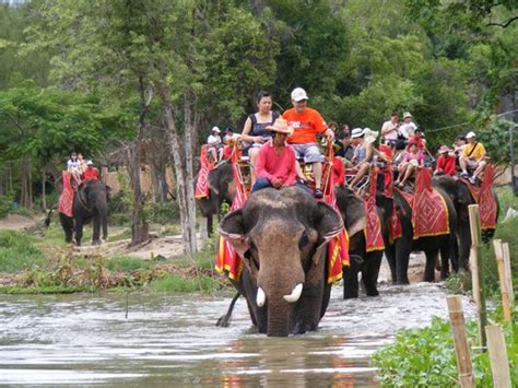hua hin safari and adventure park thailand hua hin daytrip