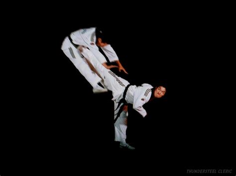 Find and download taekwondo wallpapers wallpapers, total 24 desktop background. Esfand Taekwondo: Taekwondo