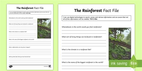 Facts About Rainforests For Kids