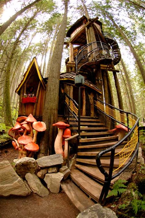 Enchanted Forest Treehouse Would You Live Here Off Grid World