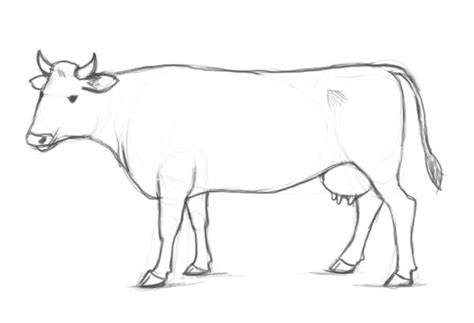 36 How To Draw A Cow Easy Png Shiyuyem