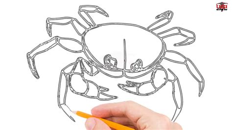 How To Draw A Crab Step By Step Easy For Beginnerskids Simple Crabs