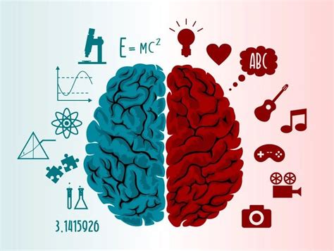 Los Hemisferios Cerebrales Y La Personalidad Wemystic Ocio Y Tiempo