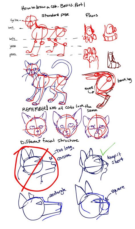 Pictures of cats drawn in pencil or watercolor can be a good decoration in a child's room. How To Draw a Cat: Part 1 by Kytes on DeviantArt