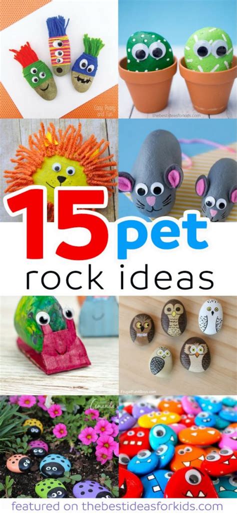 15 Fun Pet Rock Ideas The Best Ideas For Kids
