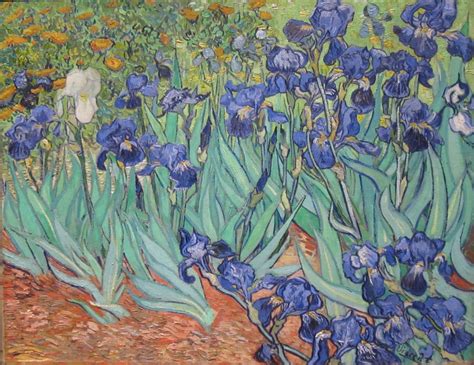 Fileirises By Vincent Van Gogh In Gettycenter Wikimedia Commons