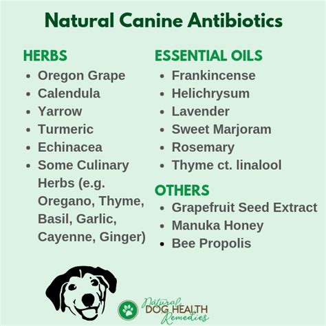 Side effects include dry eyes, sulfa crystals collecting in the urine and loss of appetite. Canine Antibiotics | Natural Herbal Antibiotics for Dogs