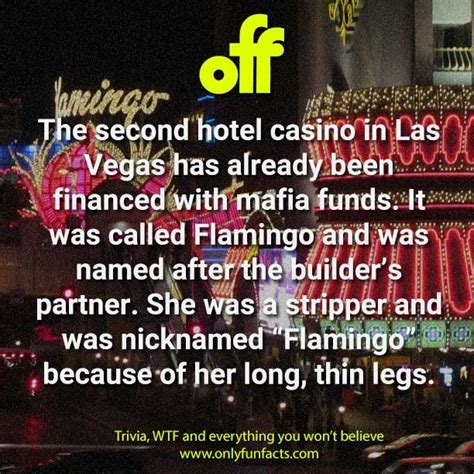 40 fabulous facts about las vegas only fun facts las vegas facts fun facts facts