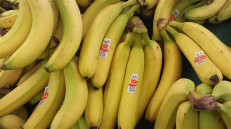 Mobile Marketing is Going Bananas - Turbana QR Code Marketing ...